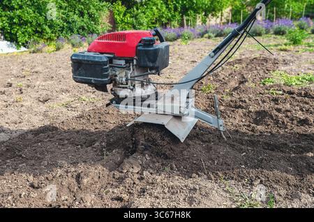 Il coltivatore manuale a benzina ara il terreno. Primo piano delle lame del coltivatore motore. Il terreno vola via da sotto il coltivatore. Concetto di agricoltura. Foto Stock