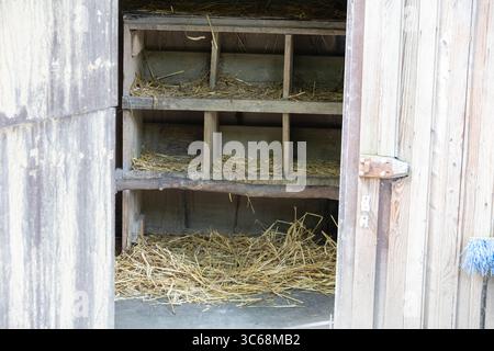 Vecchia casa di legno con paglia da vicino Foto Stock