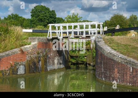 Devizes, Wiltshire - Un airone siede sul muro di una chiusa del sistema Caen Hill Lock. Foto Stock