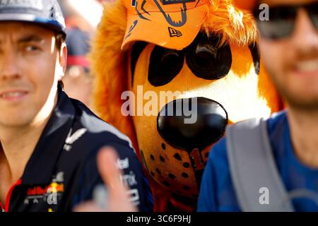 Budapest, Ungheria. 31 luglio 2025. Fan, Gran Premio di F1 d'Ungheria a Hungaroring il 31 luglio 2025 a Budapest, Ungheria. (Foto di HOCH ZWEI) credito: dpa/Alamy Live News Foto Stock