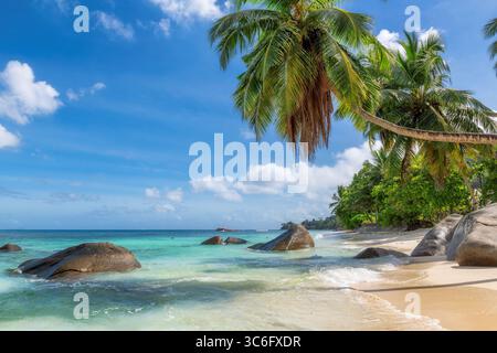 Esotica spiaggia soleggiata e palme da cocco sulle Seychelles. Vacanza estiva e spiaggia tropicale. Foto Stock