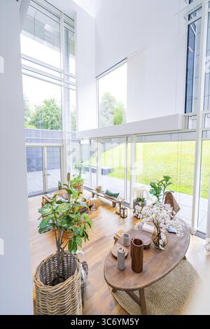 Sala luminosa con piante e decorazioni, inondata di luce naturale attraverso grandi finestre, Museo Frieder Burda, Baden Baden, Germania Foto Stock