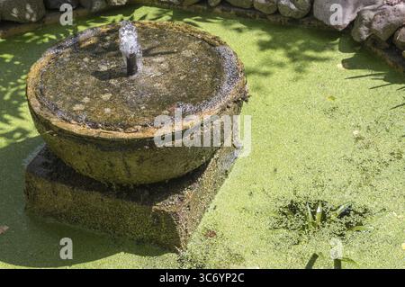 La vecchia fontana di pietra cosparge delicatamente l'acqua in uno stagno coperto di erba anatra verde Foto Stock
