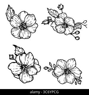 Un bouquet di fiori con delicati petali, gemme e foglie primaverili, un set di silhouette, uno schizzo in bianco e nero. Illustrazione vettoriale. Un rametto di wil Illustrazione Vettoriale
