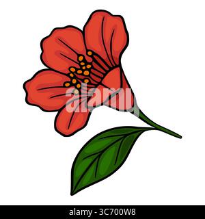 Un'illustrazione vettoriale di un singolo fiore di melograno rosso stilizzato con una foglia verde, con contorni audaci e vivaci contrasti di colore, perfetto Illustrazione Vettoriale