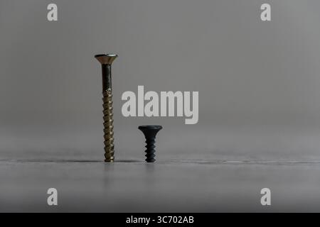 Un primo piano ad alta risoluzione di due viti, una nera e una dorata, che ne evidenziano le dimensioni, i materiali e le trame a contrasto su uno sfondo neutro Foto Stock