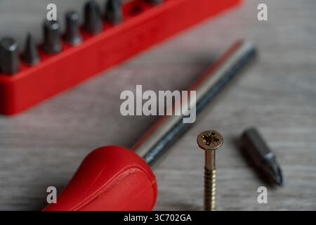 Primo piano dettagliato di un cacciavite con manico rosso, vite e punte intercambiabili su una superficie in legno. Perfetto per il fai da te, l'hardware e la grafica di riparazione Foto Stock