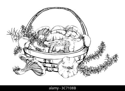 Cesto pieno di funghi raccolti, raccolta autunnale di bolete russula webcap funghi cappuccino con gambi di piante di ippograno, cucina vegana cruda commestibile Illustrazione Vettoriale