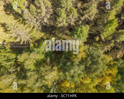 Una vista aerea dall'alto verso il basso di un'auto buia parcheggiata su un sentiero sterrato in una fitta e lussureggiante foresta verde con un mix di pini e alberi decidui Foto Stock