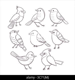 Uccelli carini. Collezione di uccelli disegnata a mano in stile artistico con linea doodle. Perfetto per progetti di superfici, stampe e progetti di creazione. Illustrazione vettoriale. Illustrazione Vettoriale