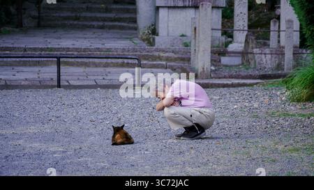 Uomo anziano accovacciato per osservare un gatto randagio in un momento tranquillo in un tempio giapponese a Kyoto, in Giappone Foto Stock