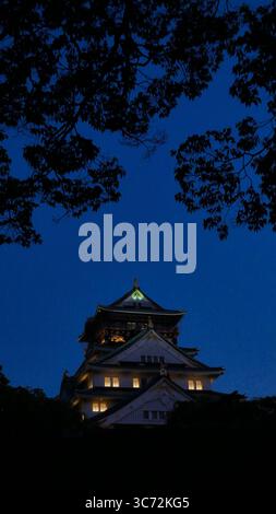 Castello di Osaka illuminato al crepuscolo, incorniciato da sagome di alberi, Osaka, Giappone Foto Stock