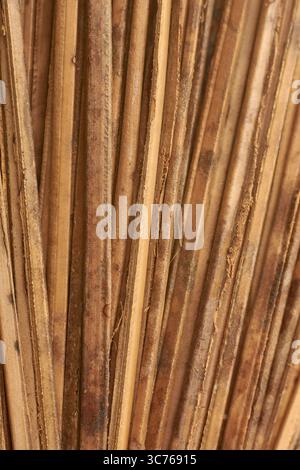 primo piano di una fitta raccolta di midrib di foglie di cocco essiccate in full frame, tonalità marrone dorato naturale struttura di fondo astratta con motivo organico Foto Stock