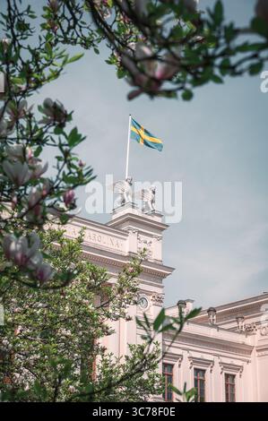Bandiera svedese in cima all'edificio principale dell'Università di Lund con l'albero di Magnolia in fiore Foto Stock
