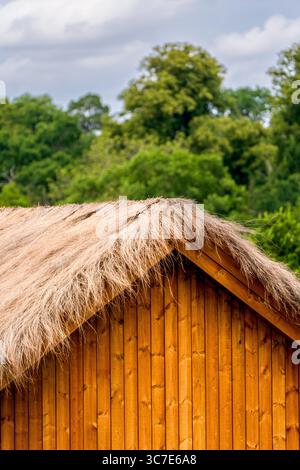 Primo piano di un tradizionale tetto di paglia su una cabina di legno in un ambiente forestale Foto Stock