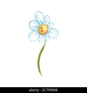 Fiore di camomilla. Illustrazione acquerello disegnata a mano, cartone animato. Disegnare per la decorazione della stanza dei bambini, libri, prodotti lattiero-caseari. Fiori, camomilla Foto Stock