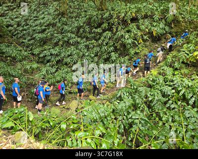 I partecipanti che corrono e camminano attraverso i lussureggianti sentieri della foresta e le strade storiche della città durante l'evento Trail Real Priolo nell'isola di São Miguel, nelle Azzorre, Foto Stock