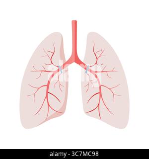 Illustrazione di polmoni umani con sistema respiratorio Illustrazione Vettoriale