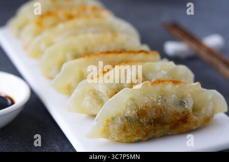 Primo piano di diversi gnocchi Mandu o coreani, ordinatamente presentati su un piatto da portata rettangolare bianco. Foto Stock