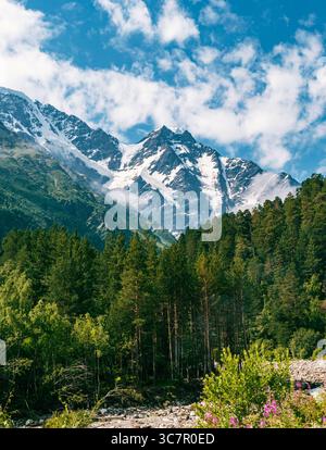 Le cime innevate del Caucaso si innalzano sopra lussureggianti foreste verdi sotto un vivace cielo blu durante una giornata di sole in montagna Foto Stock