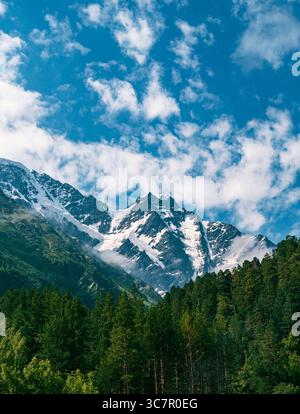 Le cime innevate del Caucaso si innalzano sopra lussureggianti foreste verdi sotto un vivace cielo blu durante una giornata di sole in montagna Foto Stock