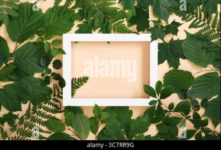 Cornice in legno bianco per il testo in foglie di alberi verdi estivi su sfondo beige. Foto Stock