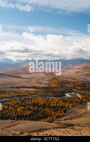Una vista aerea panoramica di un'ampia valle fluviale nella Repubblica di Altai, con un fiume che si snoda attraverso una foresta di vibranti alberi autunnali gialli Foto Stock