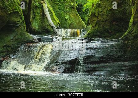 Una tranquilla foresta caratterizzata da una piccola cascata che scorre su rocce scure e lisce in una stretta gola coperta di muschio Foto Stock