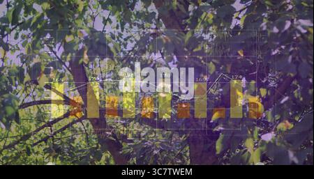 Visualizzazione della sovrapposizione di carte a barre traslucide sulla tettoia forestale, con barre gialle con linee della griglia Foto Stock