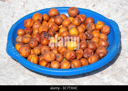 Le prugne vengono essiccate al sole. Frutta rossa essiccata su un recipiente di plastica blu. Ziziphus mauritiana noto anche come data cinese e mela cinese. IO Foto Stock
