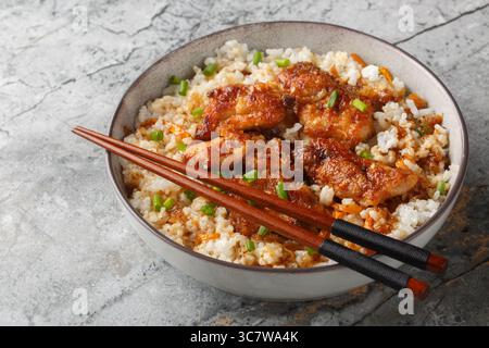 Pollo Tori Meshi giapponese con riso in salsa dolce piccante primo piano nella ciotola sul tavolo. Orizzontale Foto Stock