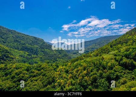 Un'ampia valle di montagna ricoperta di vibranti alberi verdi si estende in lontananza sotto un cielo blu luminoso con nuvole chiare. Foto Stock