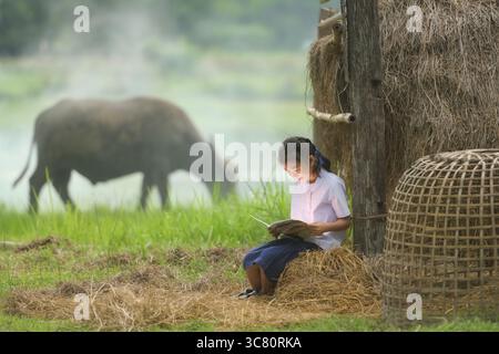 Vista laterale di una ragazza seduta su una balla di fieno in un campo che legge un libro con un bufalo d'acqua sullo sfondo, Thailandia Foto Stock