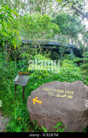 Singapore 21 giugno 2025: Le escursioni nella foresta di Rainforest Wild Asia, il 5° zoo di Singapore, il primo parco avventura di fauna selvatica dell'Asia. Foto Stock
