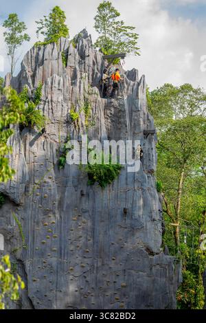 Singapore 21 giugno 2025: I turisti sono arrampicate sportive intorno alle rocce carsiche della foresta pluviale Wild ASIA per la scimmia foglia di Francois, il 5° zoo di Singapore, Foto Stock