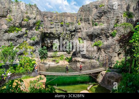 Singapore 21 giugno 2025: Il uccello coccodrillo di Rainforest Wild Asia, il 5° zoo di Singapore, il primo parco avventura faunistico dell'Asia. Foto Stock