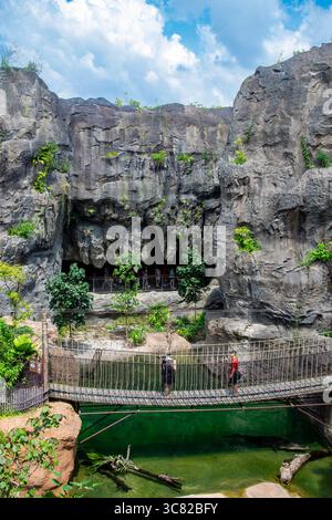Singapore 21 giugno 2025: Il uccello coccodrillo di Rainforest Wild Asia, il 5° zoo di Singapore, il primo parco avventura faunistico dell'Asia. Foto Stock