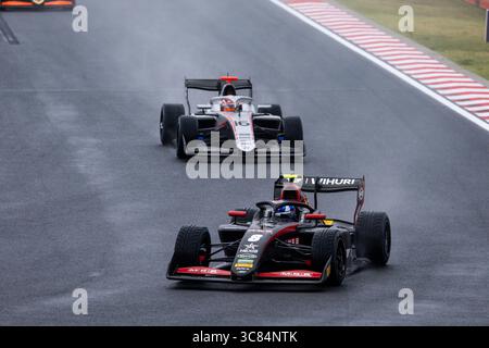 Mogyorod, Ungheria. 3 agosto 2025. 08 TAPONEN Tuukka (fin), ART Grand Prix, Dallara F3 2025, azione durante il 9° round del campionato FIA di Formula 3 2025 dall'1 al 3 agosto 2025 sull'Hungaroring, a Mogyorod, Ungheria - foto DPPI Credit: DPPI Media/Alamy Live News Foto Stock