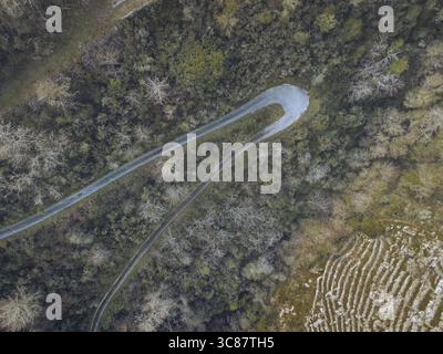Vista aerea di una strada tortuosa che attraversa una fitta foresta, in contrasto con il paesaggio terrazzato sottostante, Ribeira Sacra, Lugo, Spagna. Foto Stock