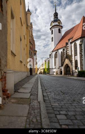 Le riprese verticali mostrano l'architettura europea lungo la pittoresca strada lastricata di Torgau, Germania. Foto Stock