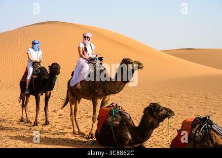 Giro in cammello tra le dune di Erg Chebbi nel deserto del Sahara, Merzouga, Errachidia, Marocco Foto Stock