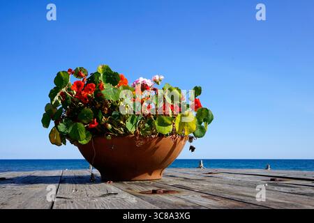Johnshaven, Aberdeenshire, Scozia Foto Stock