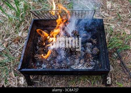 Bruciare coni di pino in una griglia come legna da ardere. Carboni bruciati per una griglia. Foto di alta qualità Foto Stock