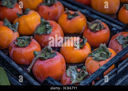 Frutta di cachi d'arancia matura in mostra presso uno stand di frutta di un tradizionale venditore ambulante a Eminonu, Istanbul, Turchia Foto Stock