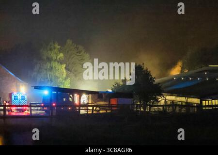 Großbrand zerstört Unterstand an Wuppertaler Reitsportzentrum - Feuerwehr kann Übergriff auf Pferdestall verhindern Große Flammen schlugen am Sonntagabend in den Nachthimmel als in einer Reitsportanlage am Aprather Weg ein ca. 30 qm Großer Unterstand mit Lagerflächen nello stand Vollbrand. Der Funkenflug drohte durch starken Wind auf einen angrenzenden Pferdestall überzugreifen. Dies konnte durch das rasche Eingreifen der Wuppertaler Feuerwehr glücklicherweise verhindert werden. MIT drei C-Rohren und einem B-Rohr führten die Feuerwehrleute einen massiven Löschangriff von zwei Seiten durch. Wupper Foto Stock