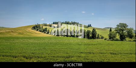 Tipico paesaggio toscano con cipressi e un paesaggio tipico toscano con cipressi e prati Foto Stock