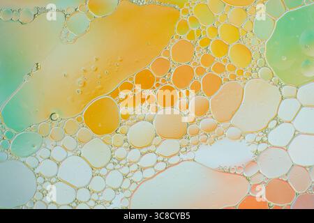 Foto macro astratta di bolle d'olio che formano celle in tonalità arancione e verde vibranti con illuminazione soffusa e gradienti uniformi. Bolle d'olio colorate in W Foto Stock