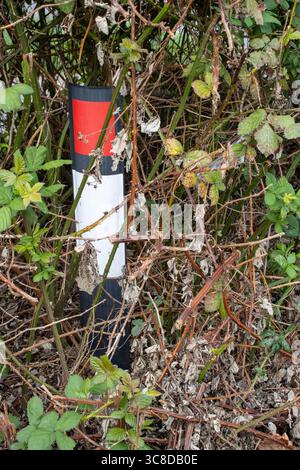 plastica rossa e bianca non c'è un dissuasore a cono taffico da parcheggio sul lato della strada Foto Stock