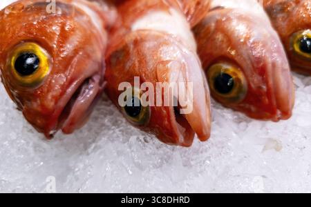 Dettaglio del pesce fresco in un pescivendolo, cibo sano Foto Stock