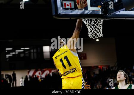 Edmonton, Canada. 3 agosto 2025. (11) Nick Hornsby, della Edmonton Stingers slam, fa schifo nella stagione regolare CEBL all'Edmonton Expo Centre. (Foto di Ron Palmer/SOPA Images/Sipa USA) credito: SIPA USA/Alamy Live News Foto Stock